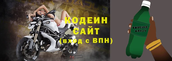 тгк Бородино