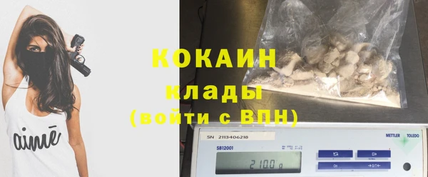 тгк Бородино