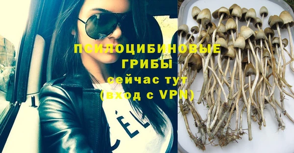 эйфоретик Бугульма