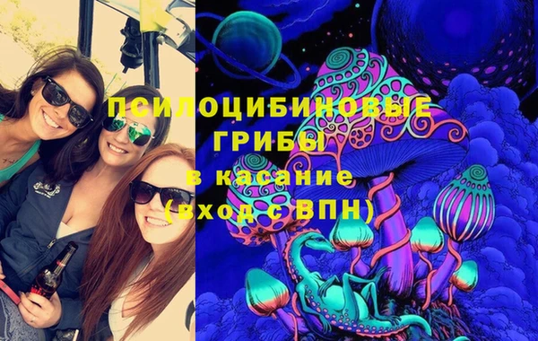 МДПВ Бронницы