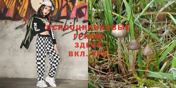гидропоника Бежецк